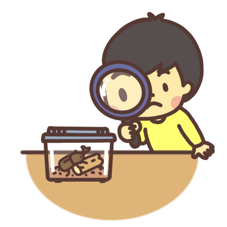 虫眼鏡で虫を観察する子どものイラスト